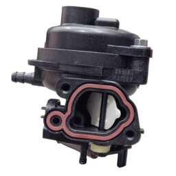 CARBURADOR BRIGGS & STRATTON PODADORA Y MTD